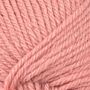 520895 - 856 Coral