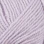 520899 - 860 Lilac