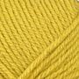 520905 - 866 Chartreuse