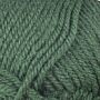 520906 - 867 Forest Green