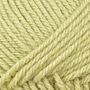 520907 - 868 Spring Green