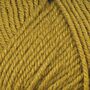 520908 - 869 Olive