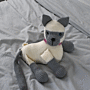 WoolCats Siamese Crochet Pattern Kit by Heather Gibbs in WoolBox Imagine Classic DK