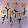 Everlasting Daffodils Crochet Kit in WoolBox Imagine Classic DK by Zoe Potrac
