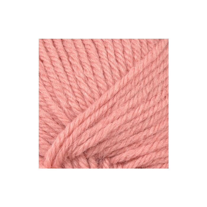 520895 - 856 Coral