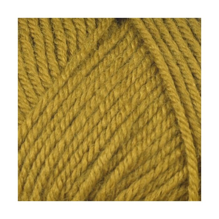 520908 - 869 Olive