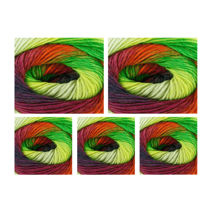 King Cole Riot DK Value Pack - 5 x 100g Balls main product photo