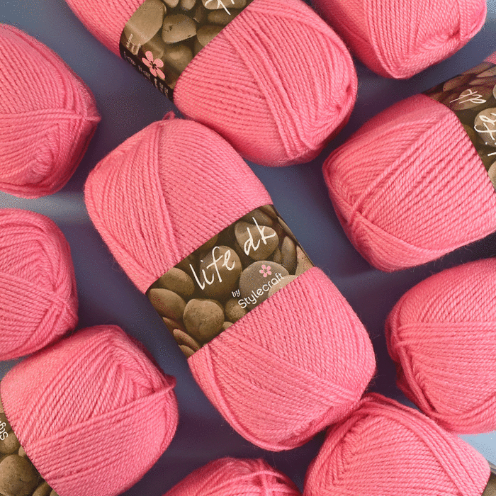 Stylecraft Life DK Value Pack - 10 x 100g Balls main product photo