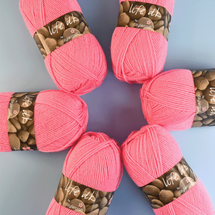 Stylecraft Life DK Value Pack - 5 x 100g Balls main product photo