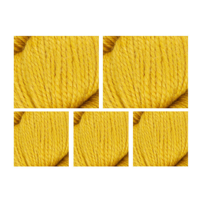 West Yorkshire Spinners Exquisite 4 Ply Yarn Value Pack 5 x 100g main product photo