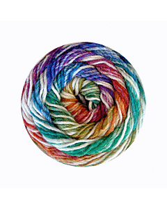 Stylecraft Knit Me, Crochet Me DK Yarn Colour Wheel (6155) 100g