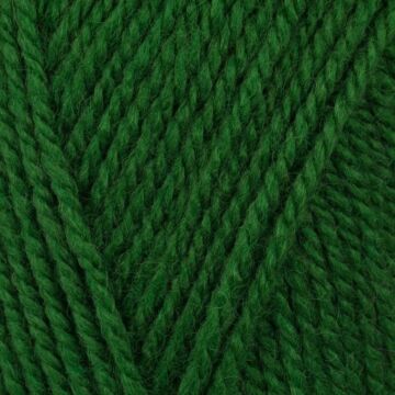 Stylecraft Special Aran with Wool Pine 7045 400g