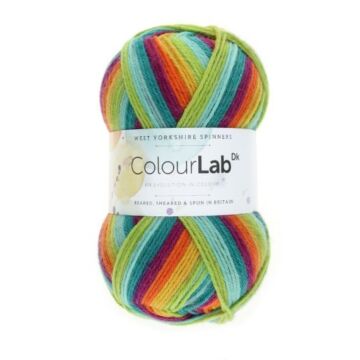 West Yorkshire Spinners ColourLab DK 894 Prism Brights 100g