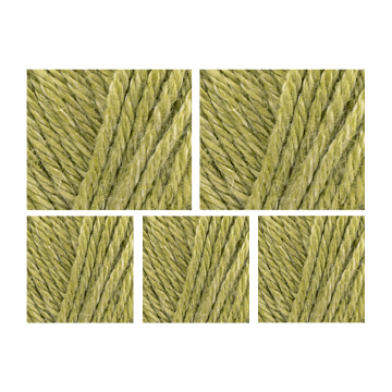 West Yorkshire Spinners Elements DK Yarn Value Pack 5x50g Palm Leaf 1104 250g