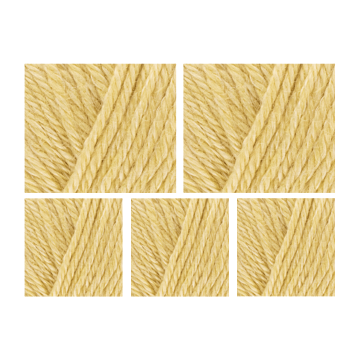 West Yorkshire Spinners Elements DK Yarn Value Pack 5x50g Summer Haze 1107 250g