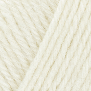 West Yorkshire Spinners Elements DK Yarn Oyster Pearl 1098 50g